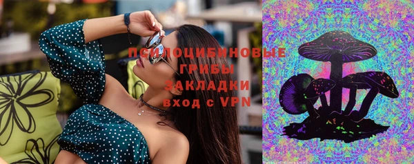 индика Алексин