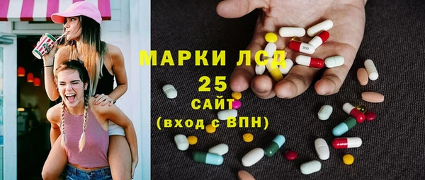 индика Алексин