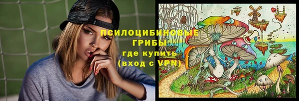 спиды Алзамай