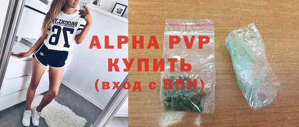 индика Алексин