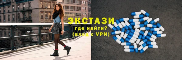 индика Алексин