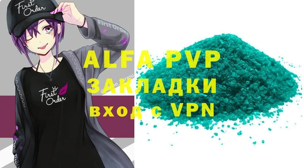 индика Алексин